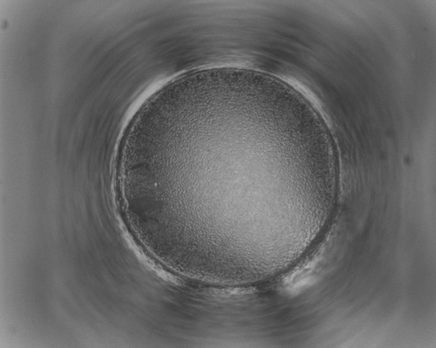 X0000067480949200604071135