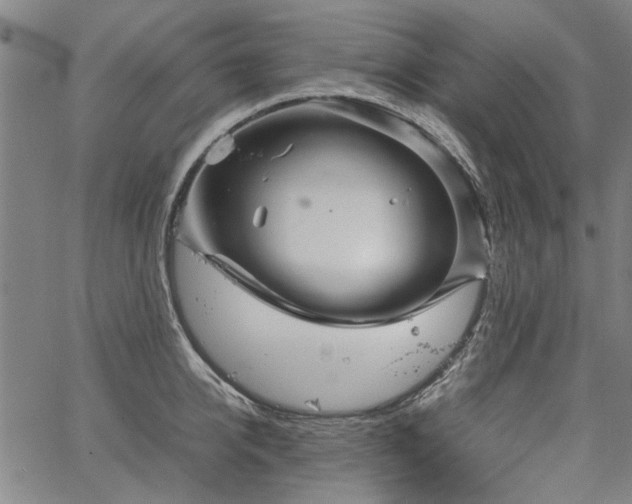 X0000067480950200604071135