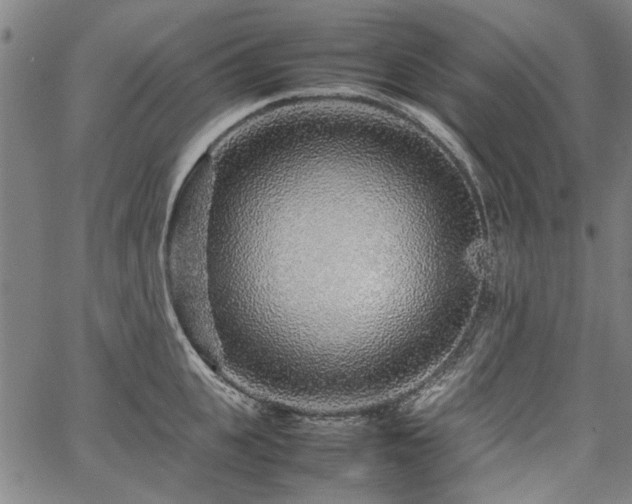 X0000067480951200604071135