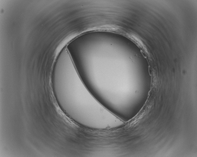 X0000067480952200604071135