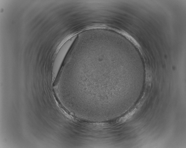 X0000067480953200604071135