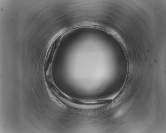 X0000067480954200604071135