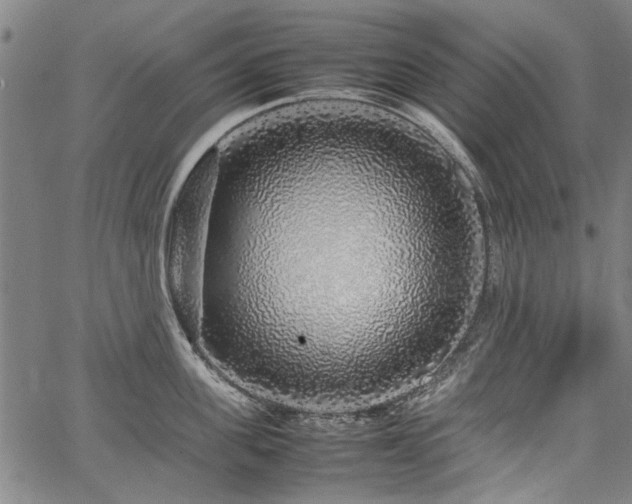 X0000067480955200604071135