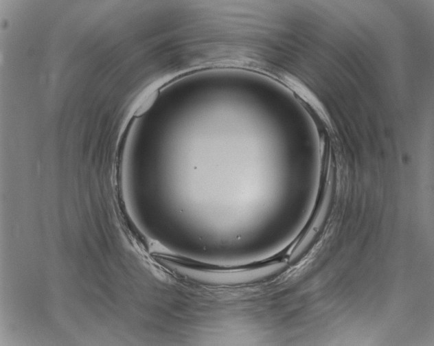 X0000067480956200604071135