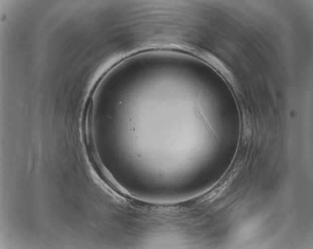 X0000067480958200604071135