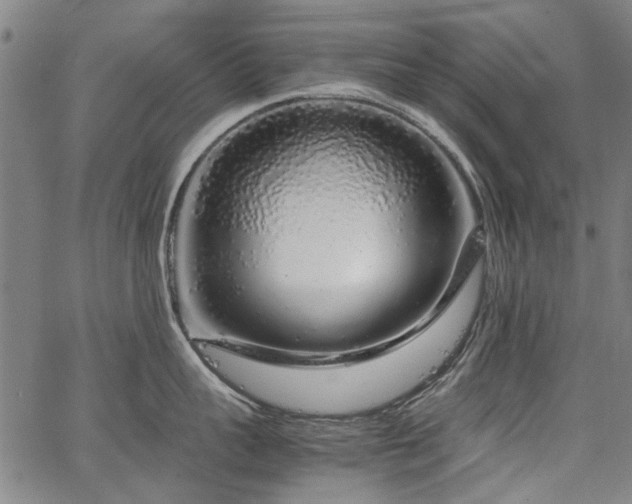 X0000067480959200604071135