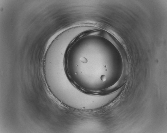 X0000067480960200604071135