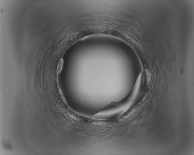 X0000067480961200604071135