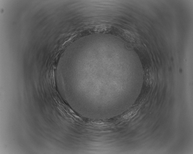 X0000067480962200604071135