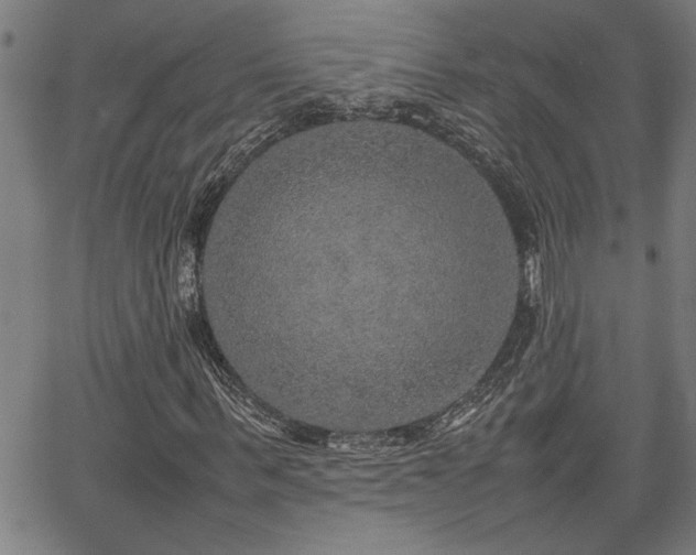 X0000067480963200604071135