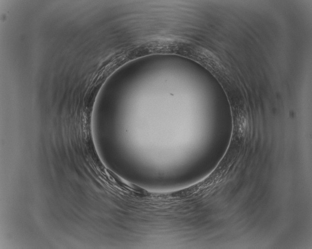 X0000067480964200604071135