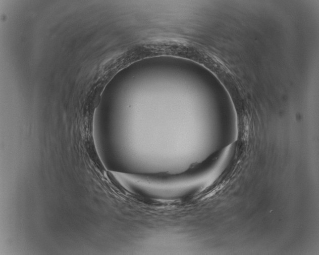 X0000067480965200604071135