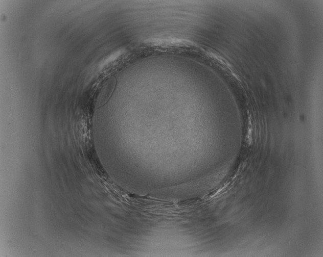 X0000067480966200604071135