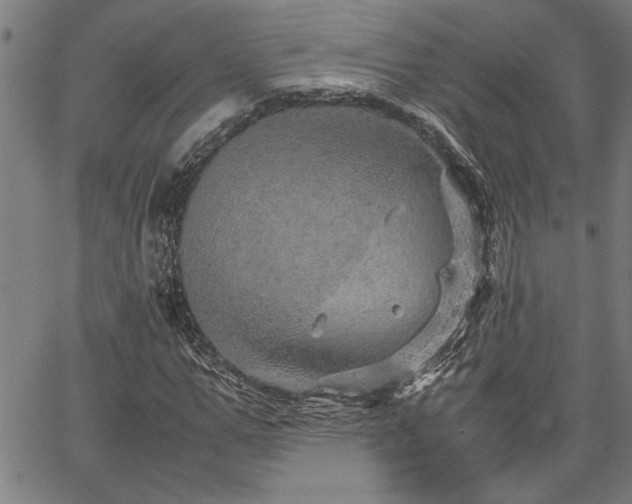 X0000067480967200604071135