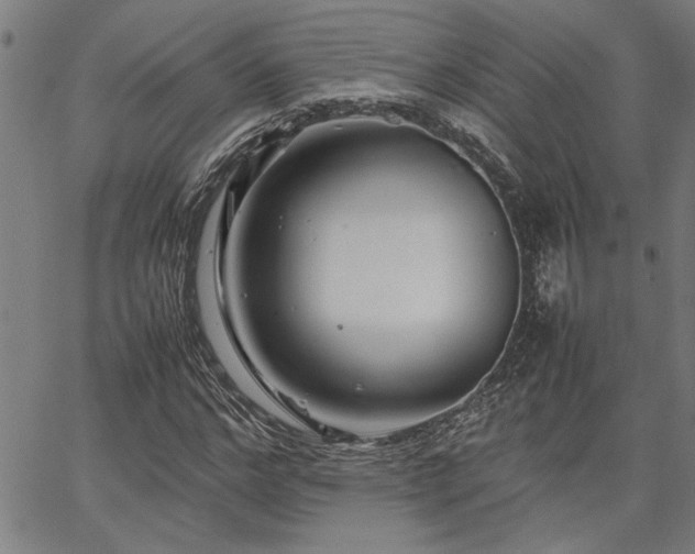 X0000067480968200604071135