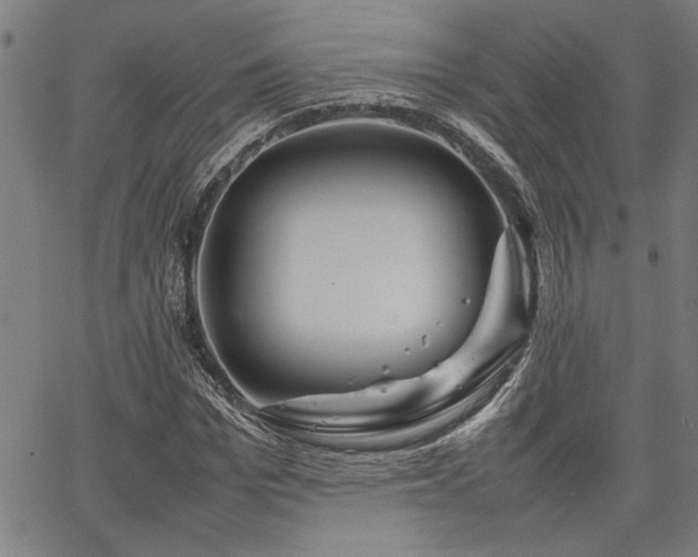 X0000067480969200604071135