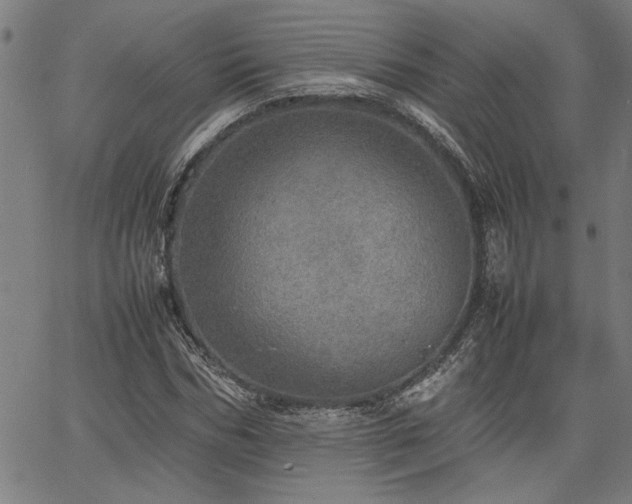 X0000067480970200604071135