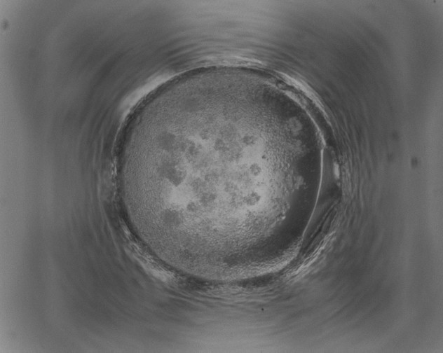 X0000067480971200604071134