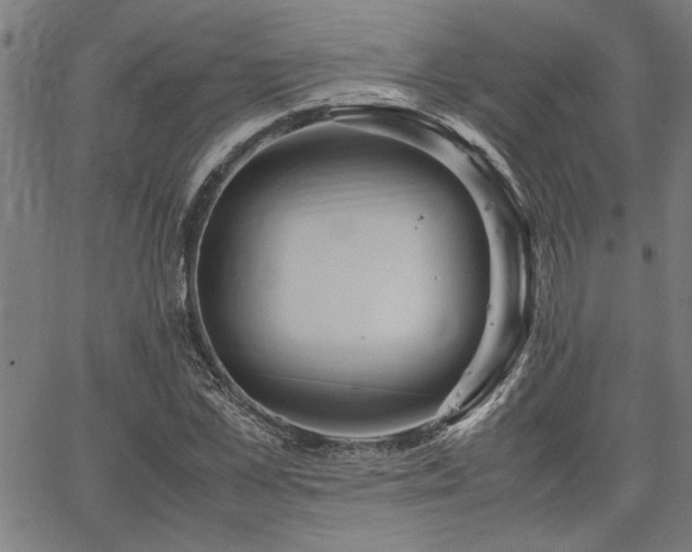 X0000067480973200604071134