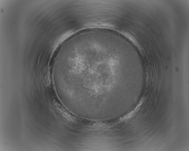 X0000067480974200604071134