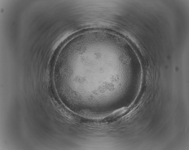 X0000067480975200604071134