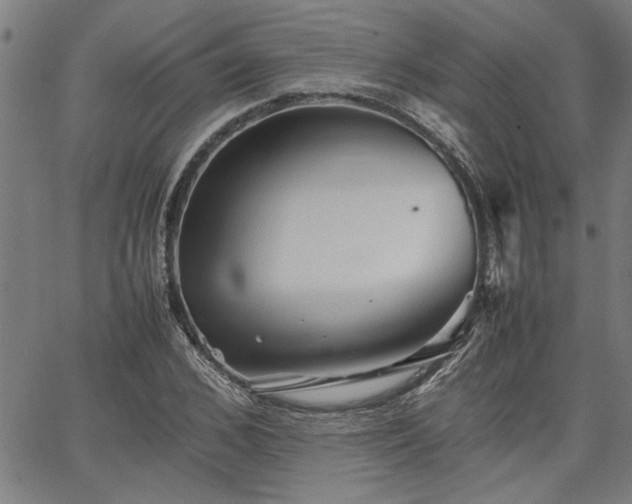 X0000067480976200604071134