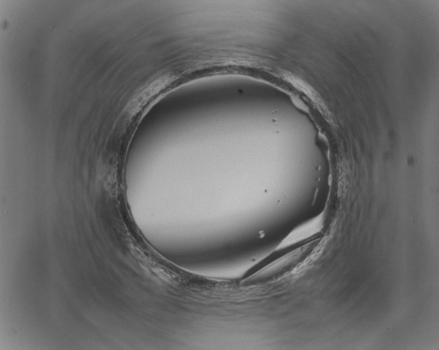 X0000067480977200604071134