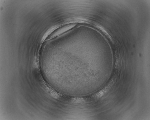 X0000067480978200604071134