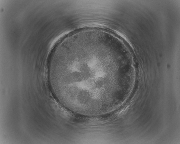 X0000067480979200604071134