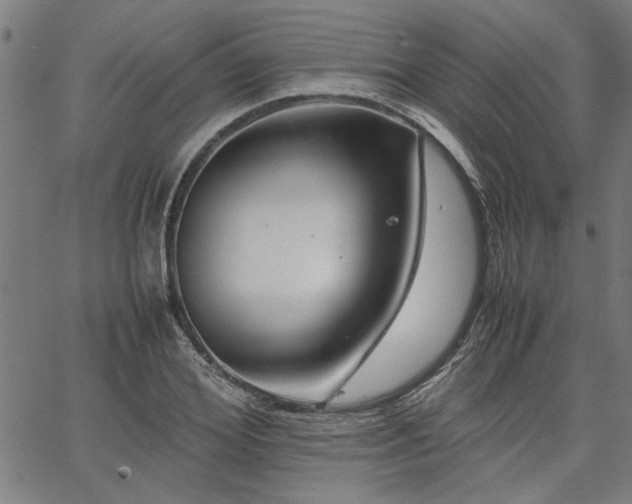 X0000067480980200604071134