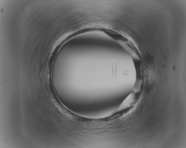 X0000067480981200604071134