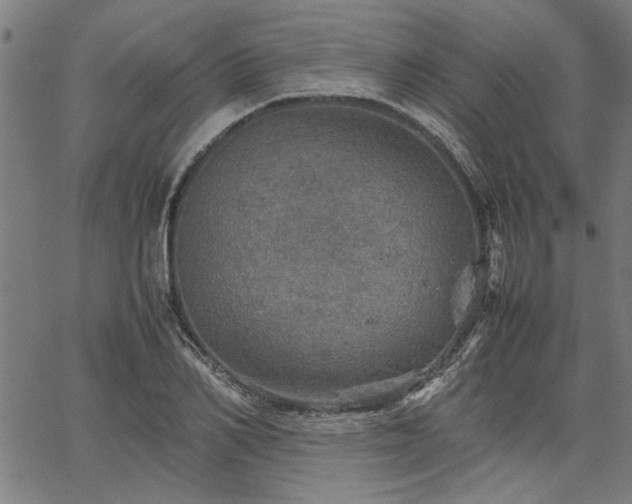 X0000067480982200604071134