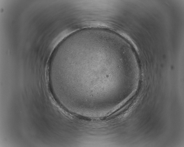 X0000067480983200604071134