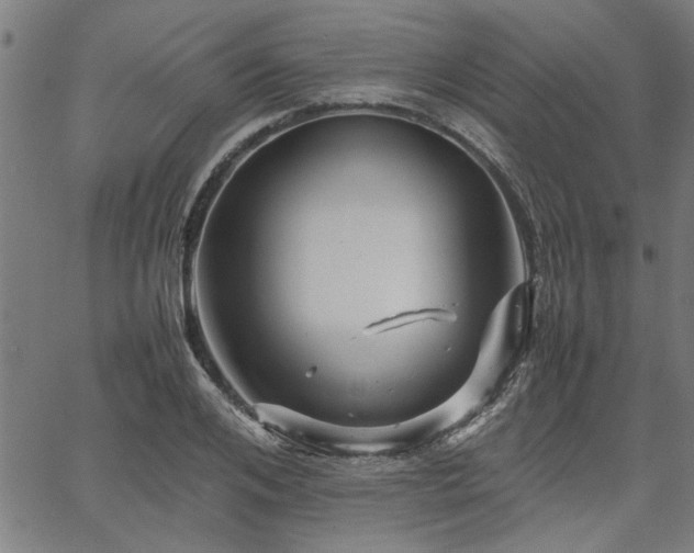 X0000067480984200604071134