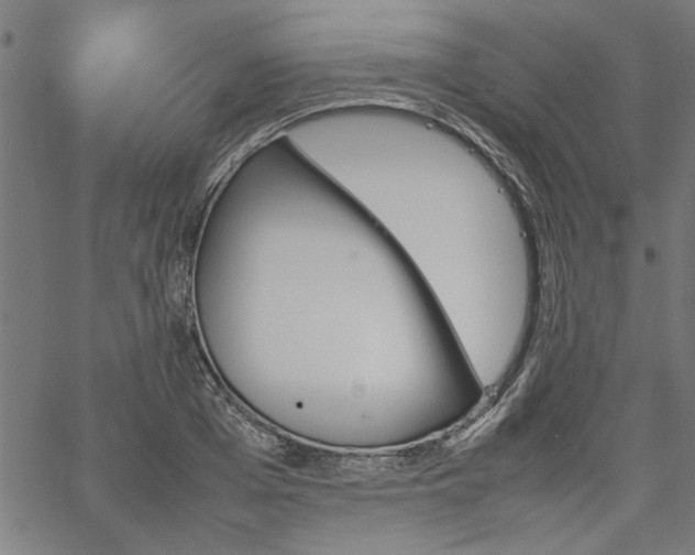 X0000067480985200604071134