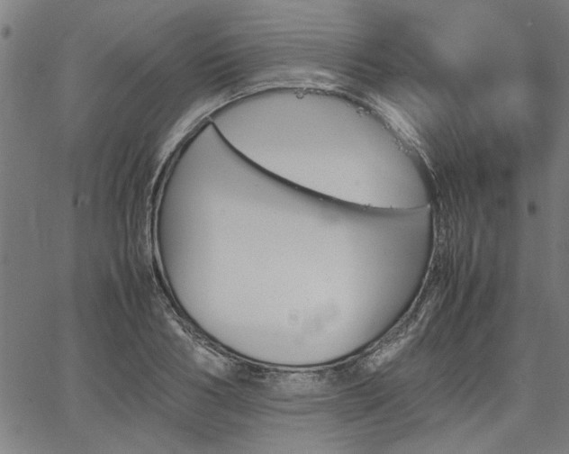 X0000067480986200604071134