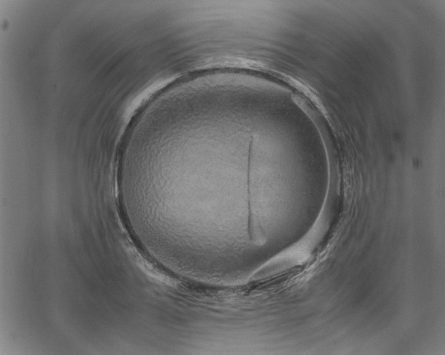 X0000067480987200604071134