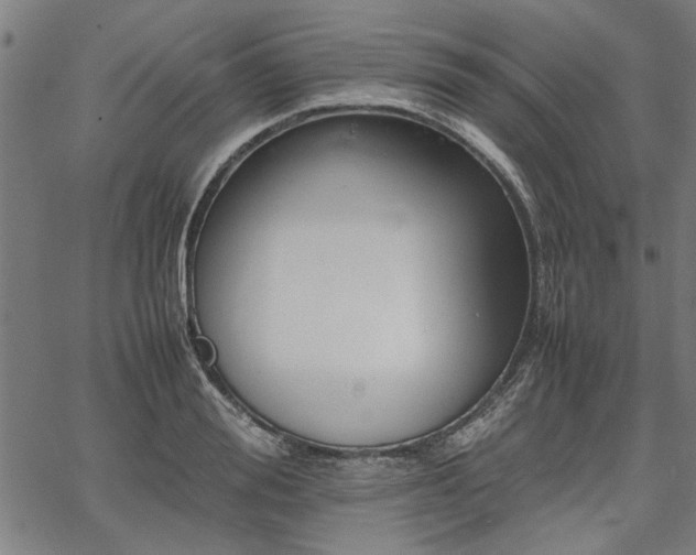 X0000067480988200604071134