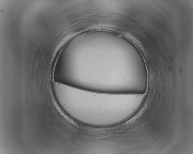 X0000067480989200604071134