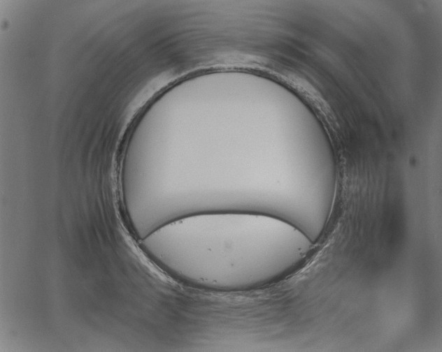 X0000067480990200604071134