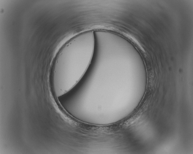 X0000067480991200604071134