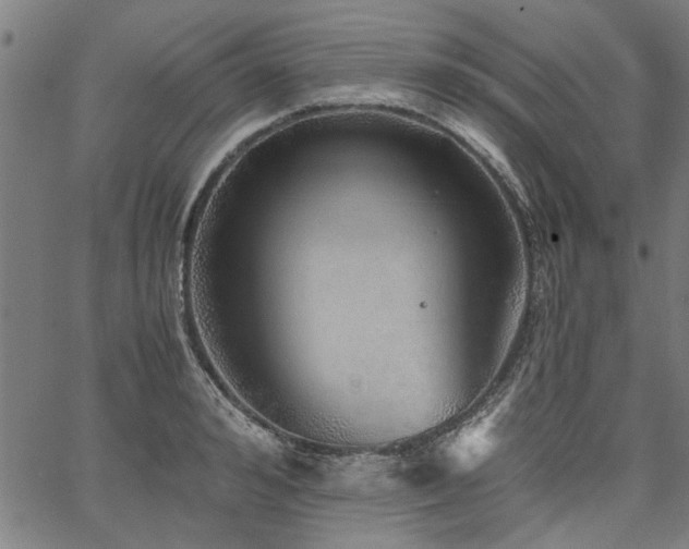 X0000067480992200604071134