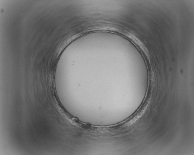 X0000067480993200604071134