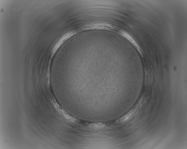 X0000067480994200604071134