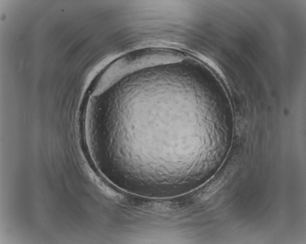 X0000067480995200604071134