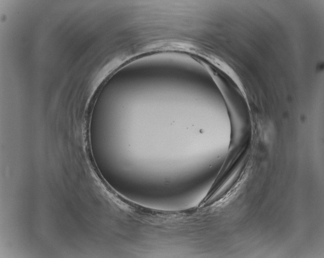 X0000067480997200604071134