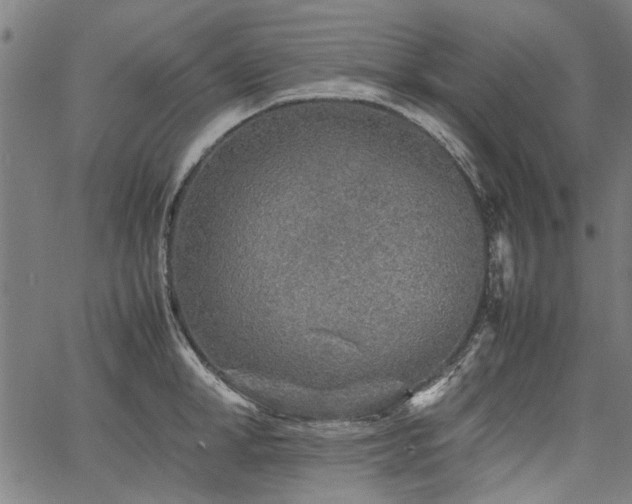 X0000067480998200604071134