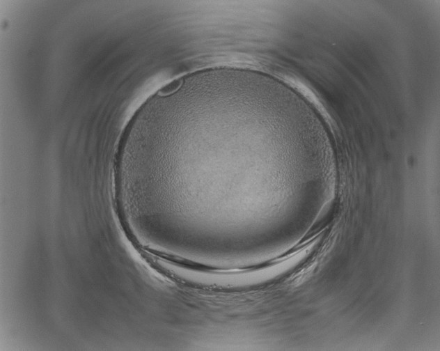 X0000067480999200604071134