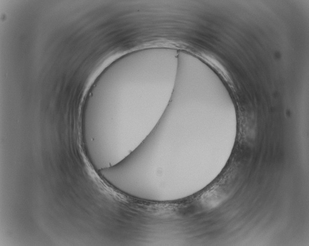 X0000067481000200604071134