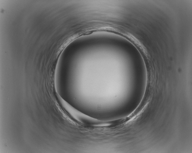 X0000067481001200604071134